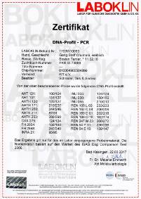 DNA_Chumani